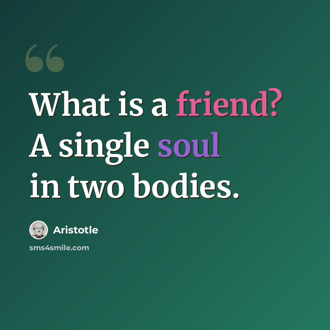 “What is a friend? A single soul in two bodies.” quote by Aristotle
