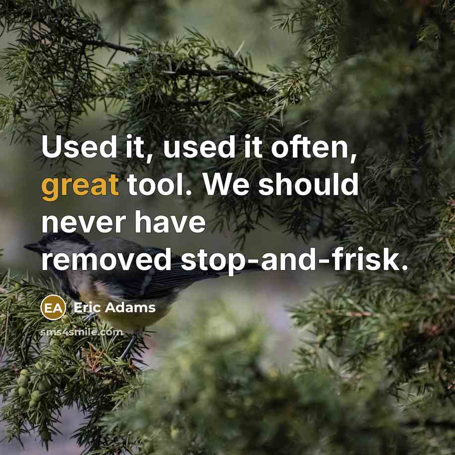 “Used it, used it often, great tool. We should never have removed stop-and-frisk.” quote by Eric Adams