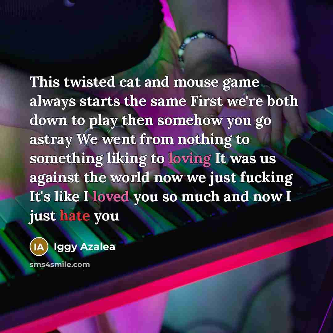 “This twisted cat and mouse game always starts the same First we're both down to play then somehow you go astray We went from nothing to something liking to loving It was us against the world now we just fucking It's like I loved you so much and now I just hate you” quote by Iggy Azalea