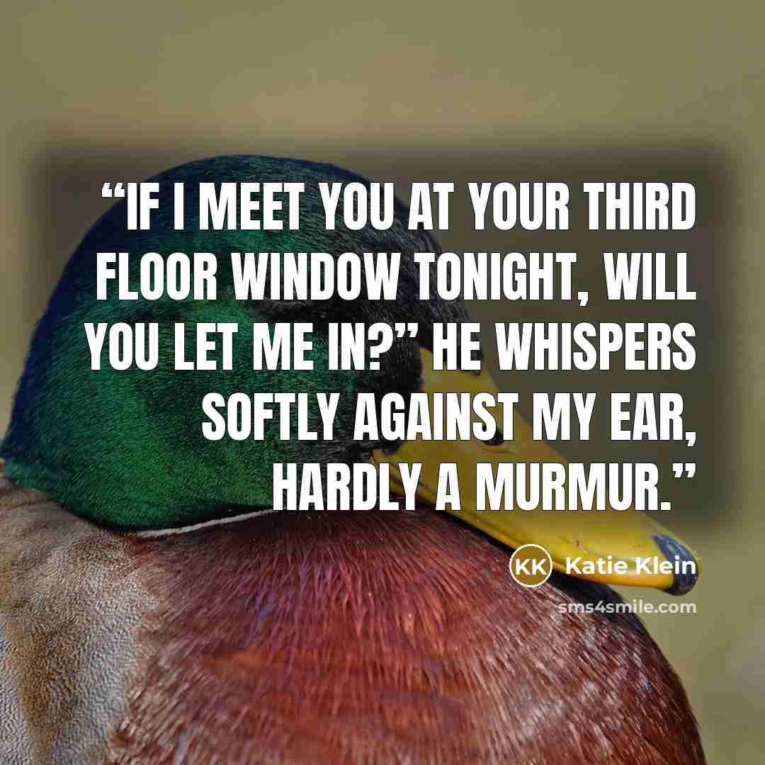 “If I meet you at your third floor window tonight, will you let me in?” he whispers softly against my ear, hardly a murmur.” quote by Katie Klein