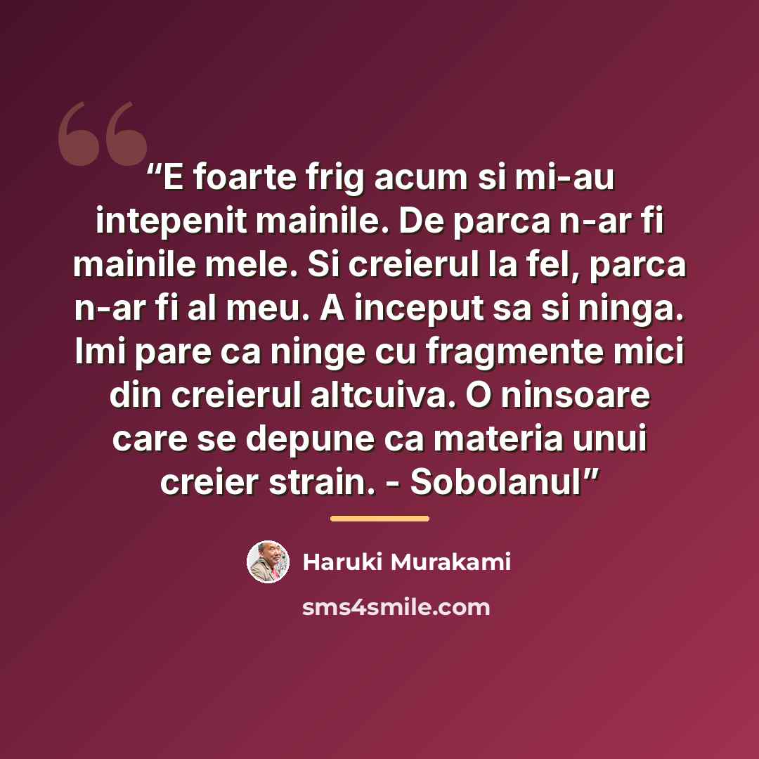 “E foarte frig acum si mi-au intepenit mainile. De parca n-ar fi mainile mele. Si creierul la fel, parca n-ar fi al meu. A inceput sa si ninga. Imi pare ca ninge cu fragmente mici din creierul altcuiva. O ninsoare care se depune ca materia unui creier strain. - Sobolanul” quote by Haruki Murakami