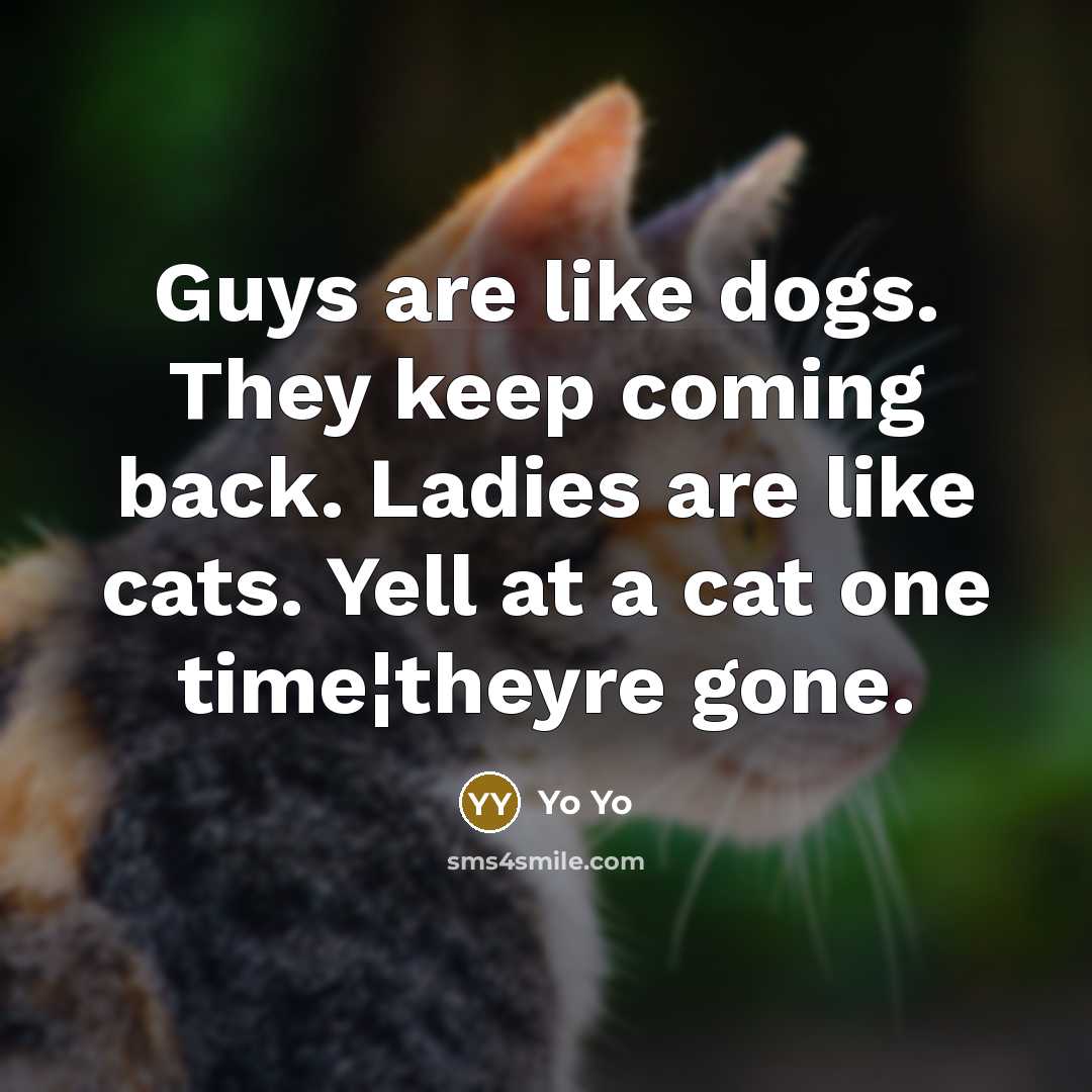 “Guys are like dogs. They keep coming back. Ladies are like cats. Yell at a cat one time¦theyre gone.” quote by Yo Yo