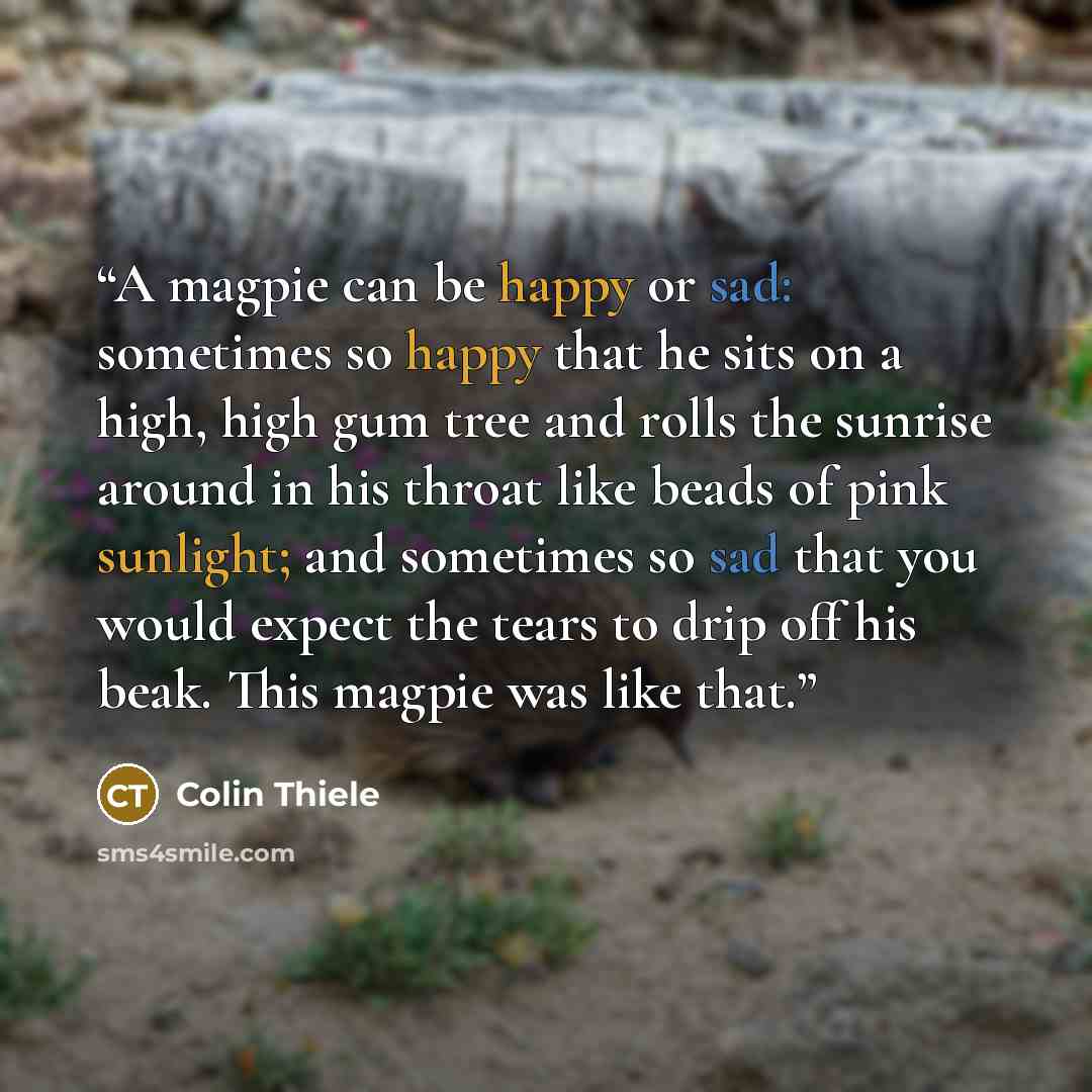 “A magpie can be happy or sad: sometimes so happy that he sits on a high, high gum tree and rolls the sunrise around in his throat like beads of pink sunlight; and sometimes so sad that you would expect the tears to drip off his beak. This magpie was like that.” quote by Colin Thiele