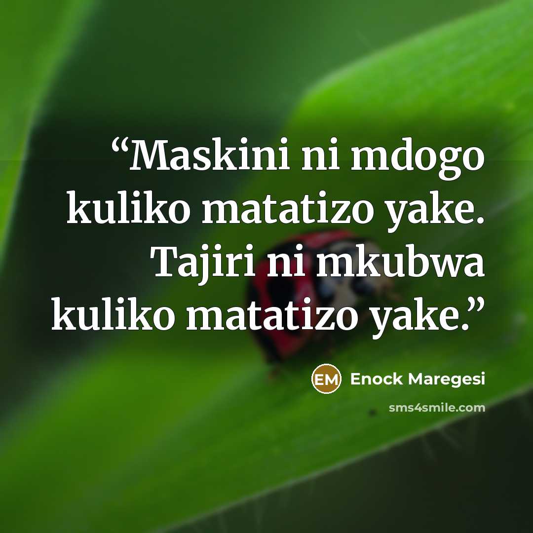 “Maskini ni mdogo kuliko matatizo yake. Tajiri ni mkubwa kuliko matatizo yake.” quote by Enock Maregesi
