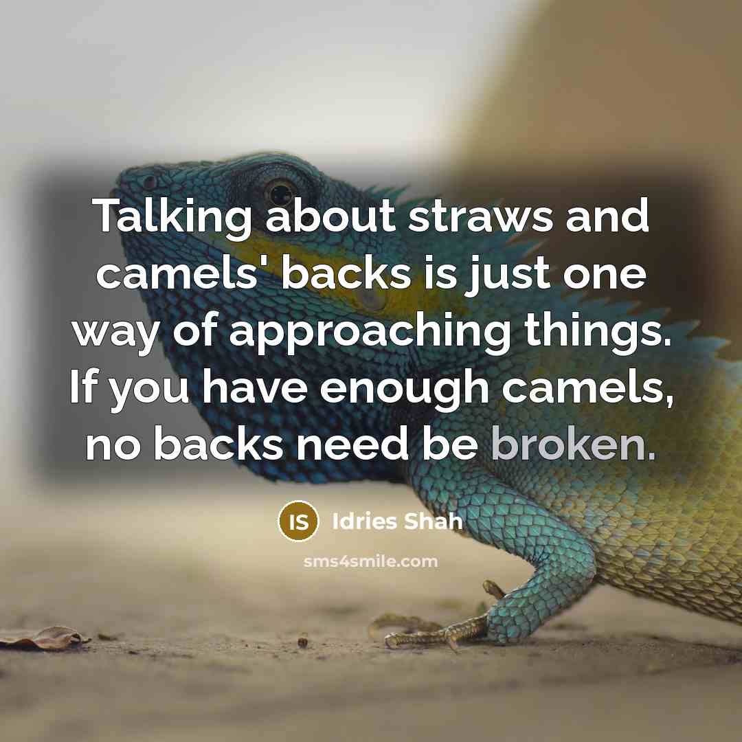 “Talking about straws and camels' backs is just one way of approaching things. If you have enough camels, no backs need be broken.” quote by Idries Shah