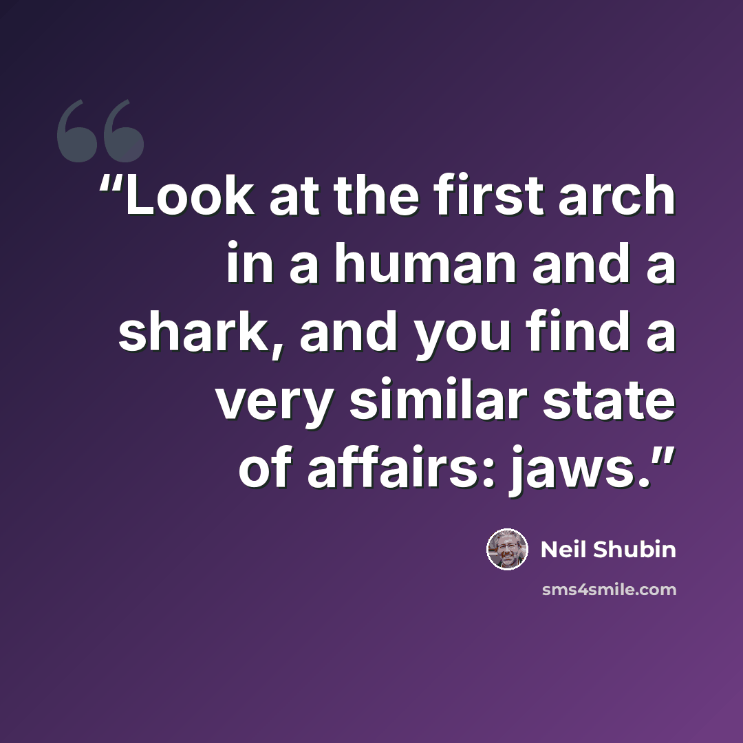 “Look at the first arch in a human and a shark, and you find a very similar state of affairs: jaws.” quote by Neil Shubin
