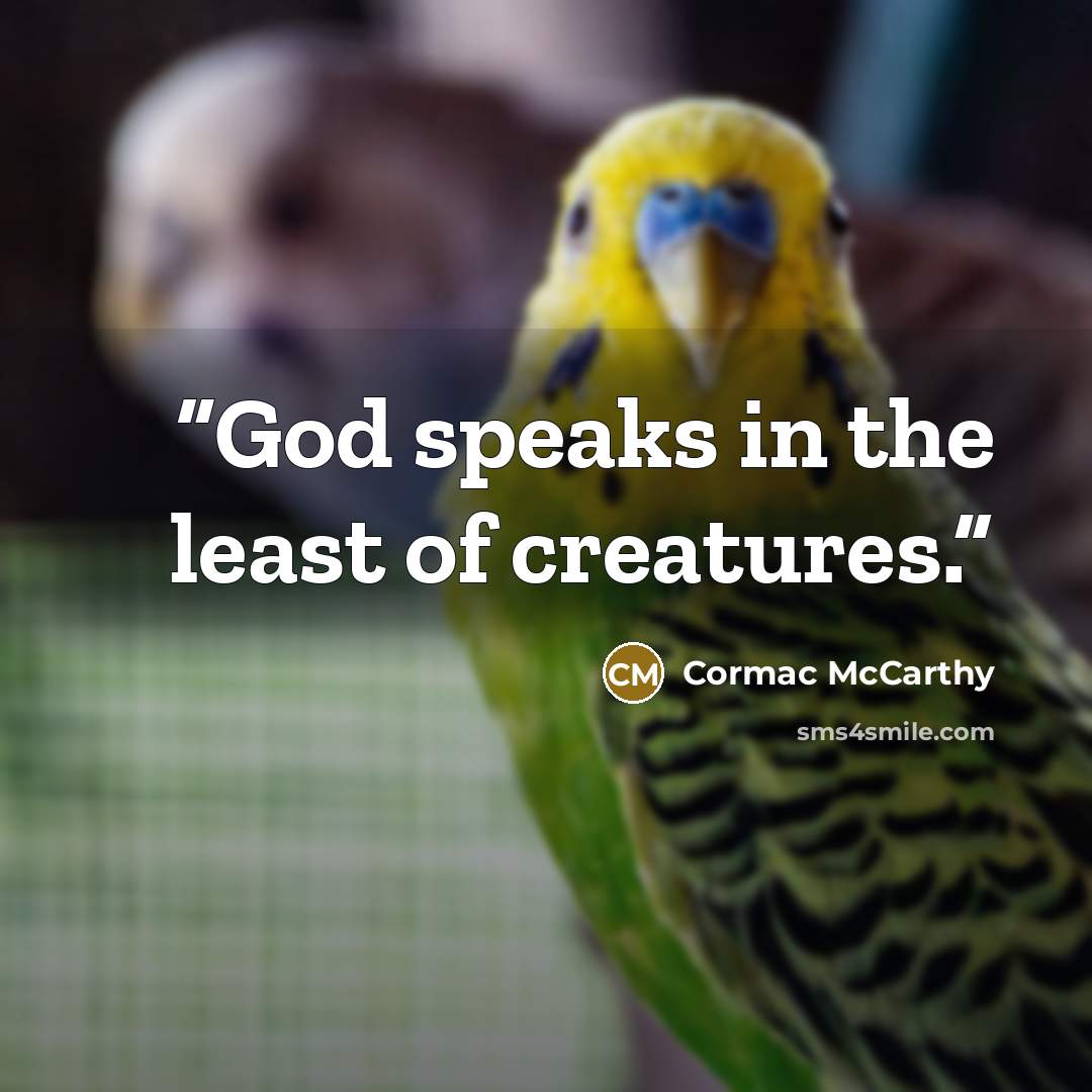 “God speaks in the least of creatures.” quote by Cormac McCarthy