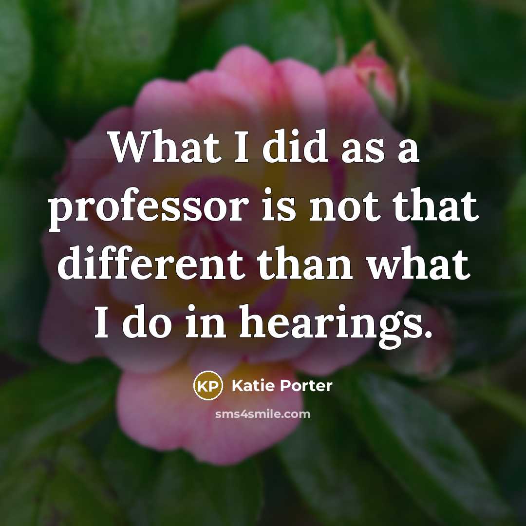“What I did as a professor is not that different than what I do in hearings.” quote by Katie Porter