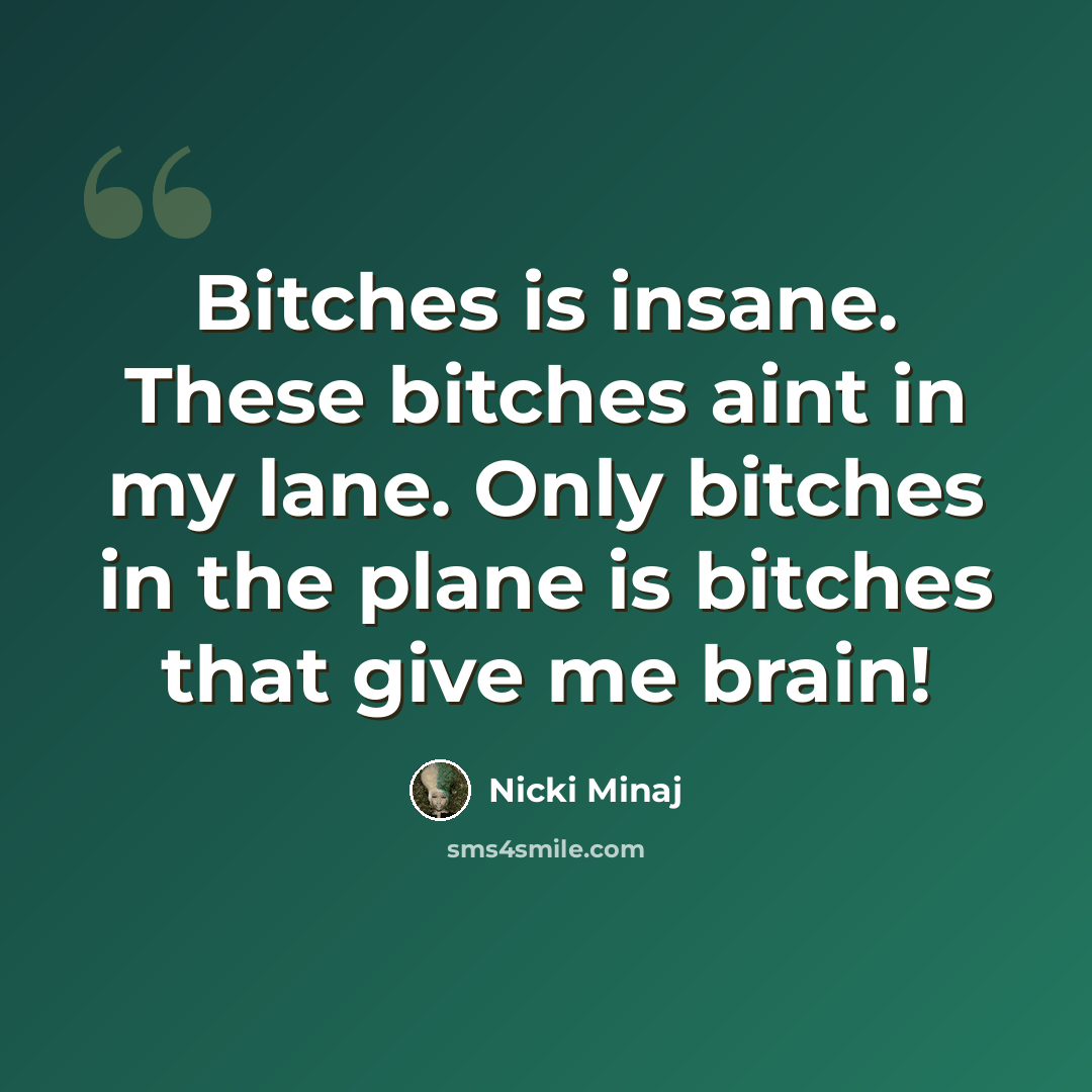 “Bitches is insane. These bitches aint in my lane. Only bitches in the plane is bitches that give me brain!” quote by Nicki Minaj