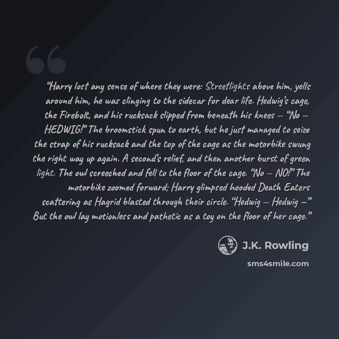“Harry lost any sense of where they were: Streetlights above him, yells around him, he was clinging to the sidecar for dear life. Hedwig’s cage, the Firebolt, and his rucksack slipped from beneath his knees — “No — HEDWIG!” The broomstick spun to earth, but he just managed to seize the strap of his…” quote by J.K. Rowling