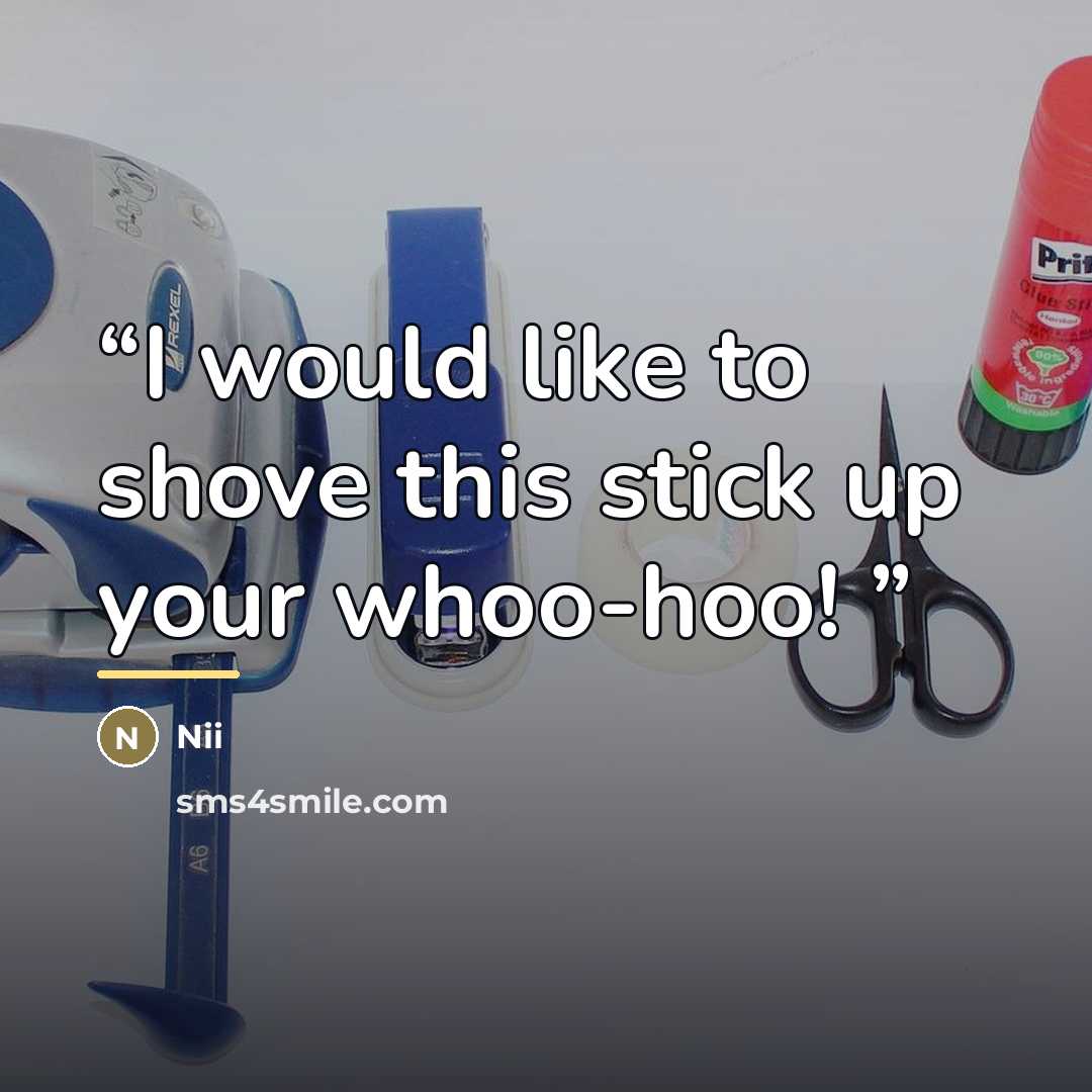 “I would like to shove this stick up your whoo-hoo!” quote by Nii