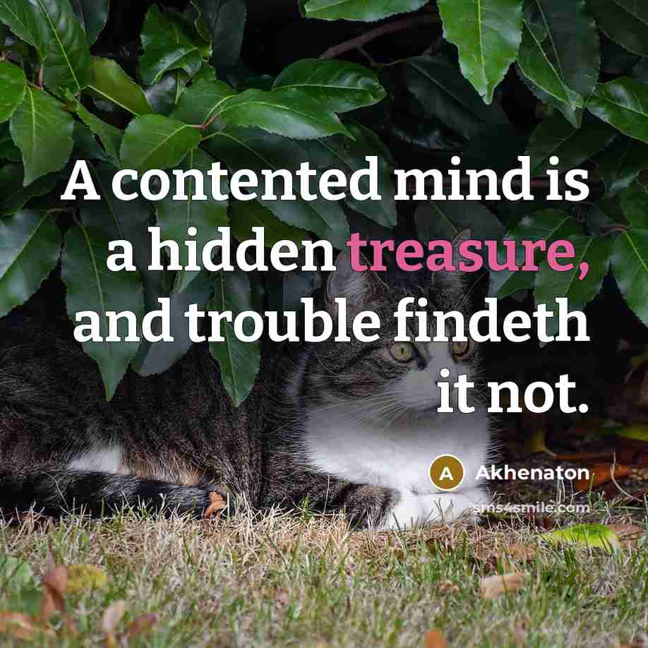 “A contented mind is a hidden treasure, and trouble findeth it not.” quote by Akhenaton