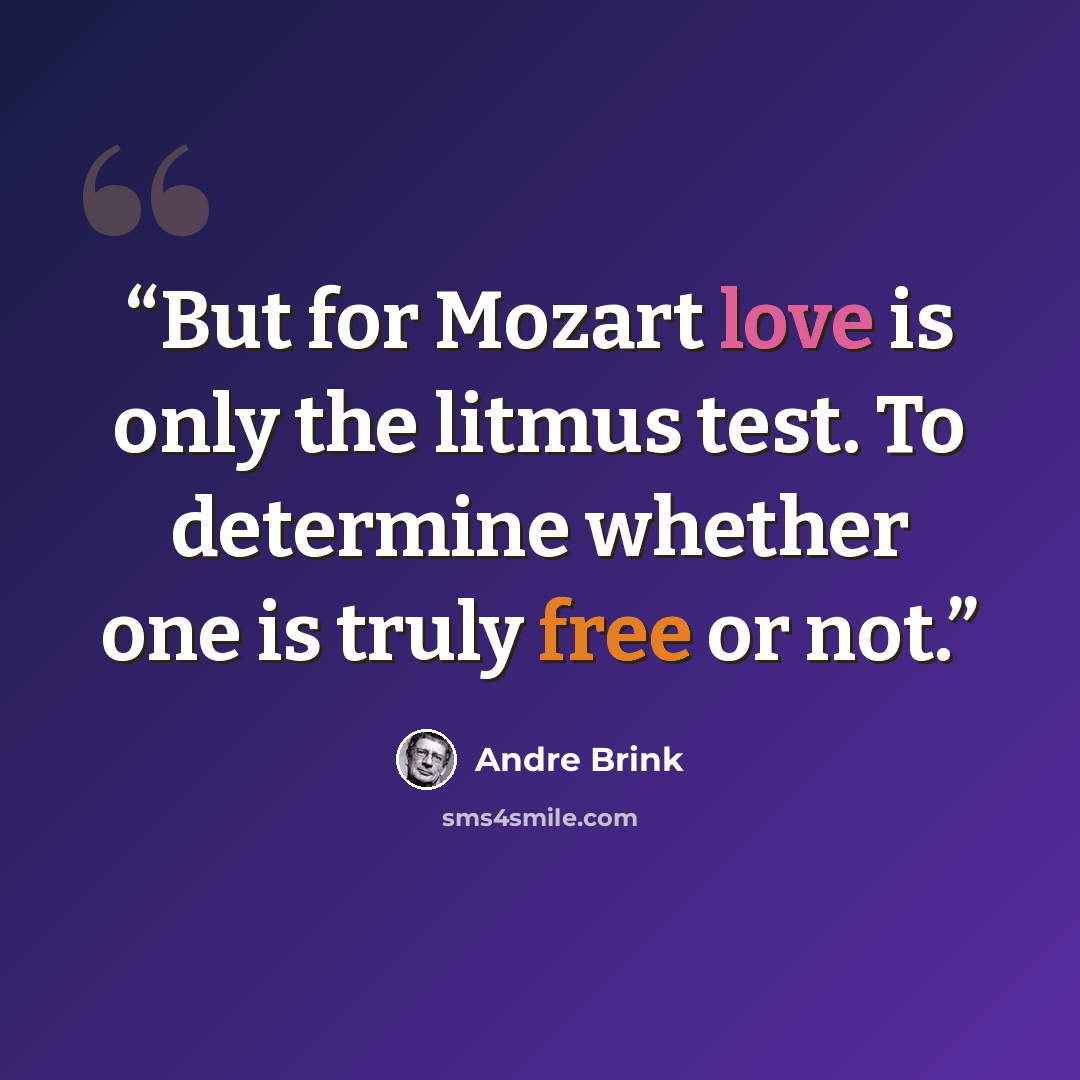 “But for Mozart love is only the litmus test. To determine whether one is truly free or not.” quote by Andre Brink