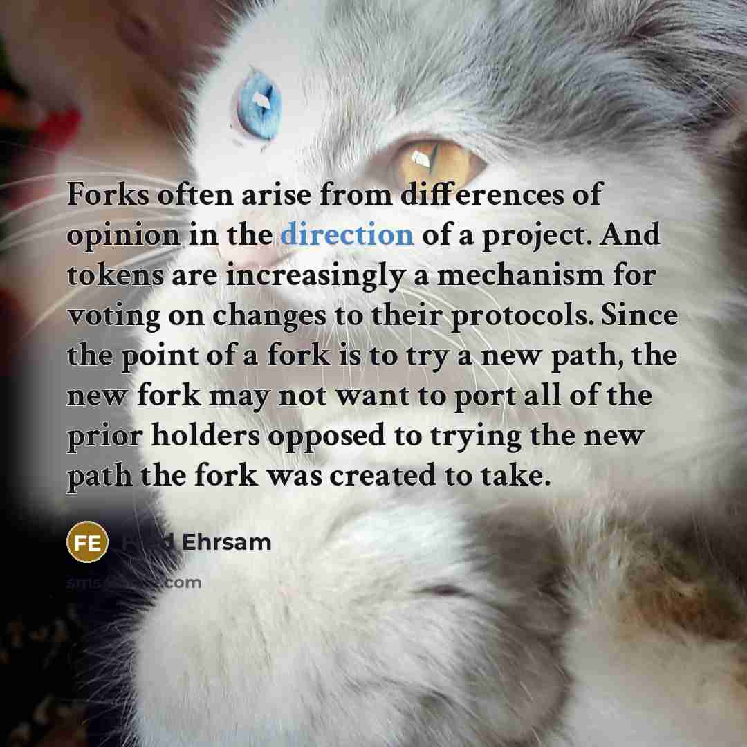 “Forks often arise from differences of opinion in the direction of a project. And tokens are increasingly a mechanism for voting on changes to their protocols. Since the point of a fork is to try a new path, the new fork may not want to port all of the prior holders opposed to trying the new path…” quote by Fred Ehrsam