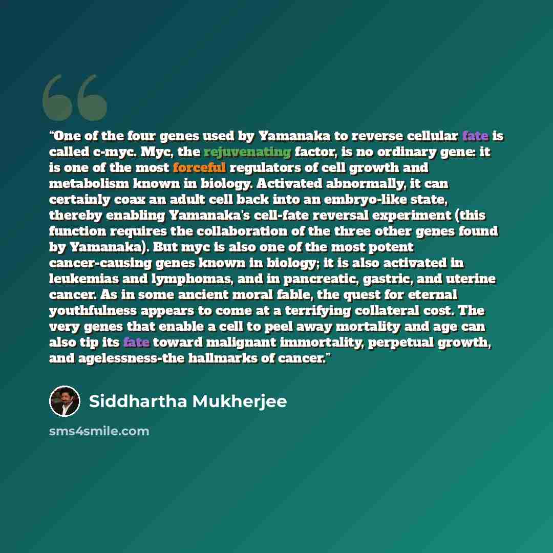 “One of the four genes used by Yamanaka to reverse cellular fate is called c-myc. Myc, the rejuvenating factor, is no ordinary gene: it is one of the most forceful regulators of cell growth and metabolism known in biology. Activated abnormally, it can certainly coax an adult cell back into an…” quote by Siddhartha Mukherjee