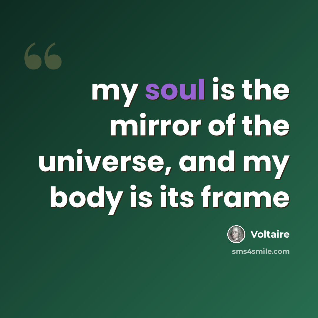 “my soul is the mirror of the universe, and my body is its frame” quote by Voltaire