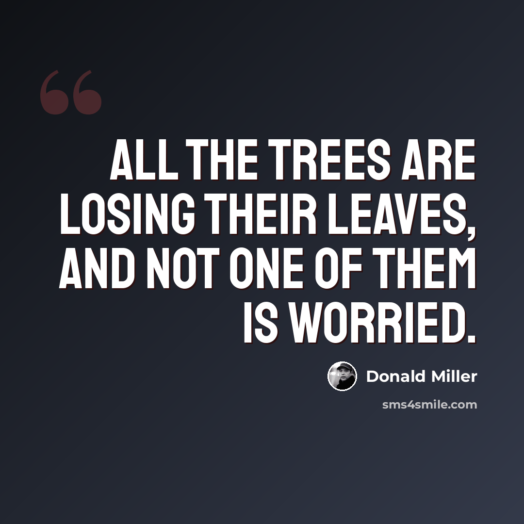 “All the trees are losing their leaves, and not one of them is worried.” quote by Donald Miller