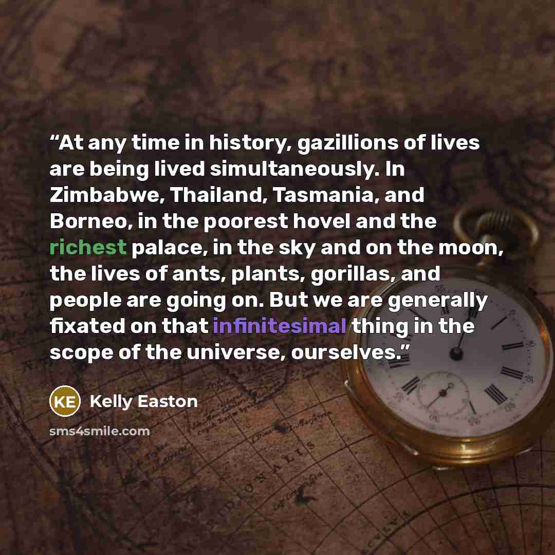 “At any time in history, gazillions of lives are being lived simultaneously. In Zimbabwe, Thailand, Tasmania, and Borneo, in the poorest hovel and the richest palace, in the sky and on the moon, the lives of ants, plants, gorillas, and people are going on. But we are generally fixated on that…” quote by Kelly Easton