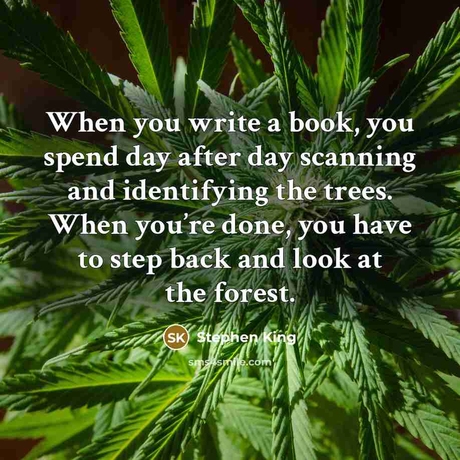 “When you write a book, you spend day after day scanning and identifying the trees. When you’re done, you have to step back and look at the forest.” quote by Stephen King