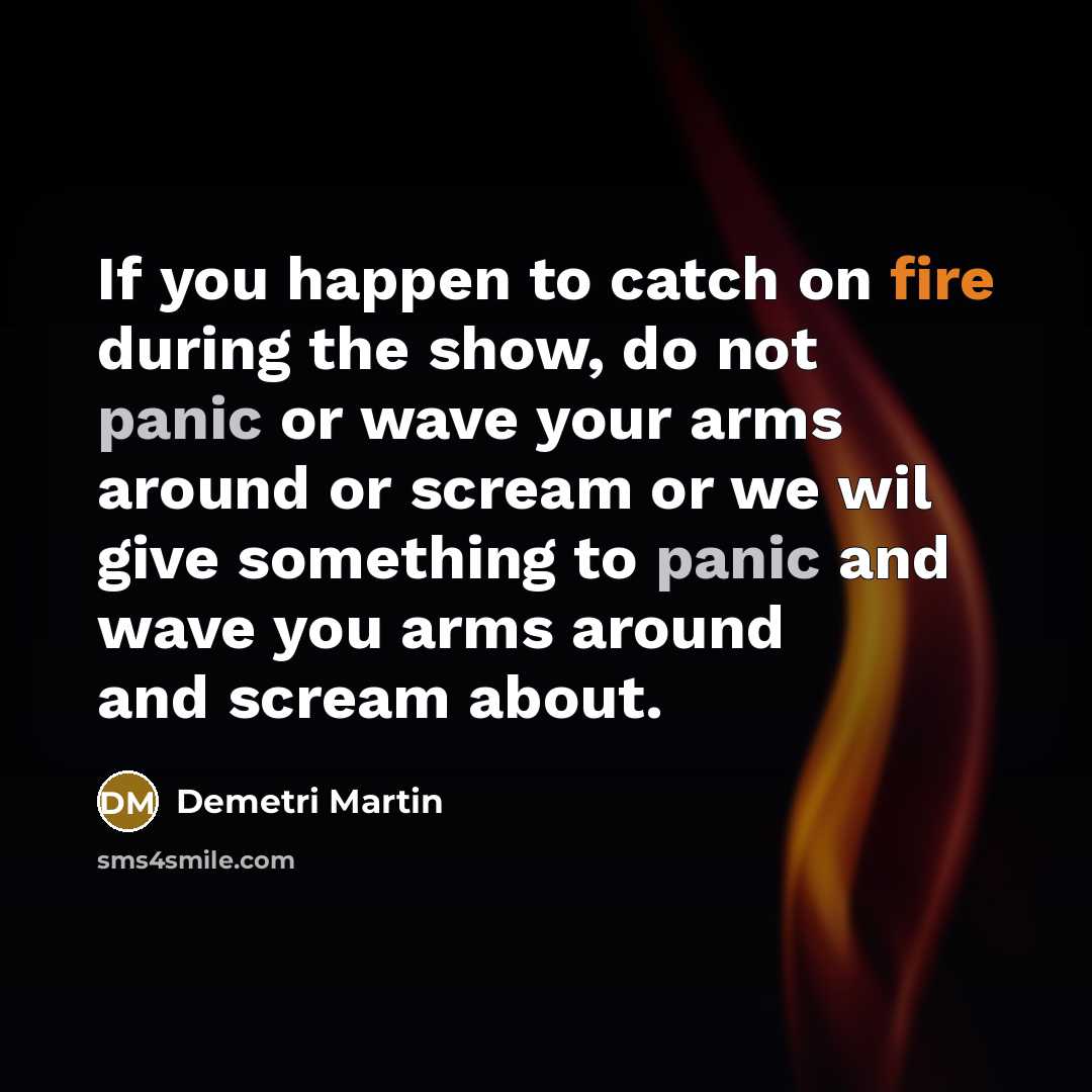 “If you happen to catch on fire during the show, do not panic or wave your arms around or scream or we wil give something to panic and wave you arms around and scream about.” quote by Demetri Martin