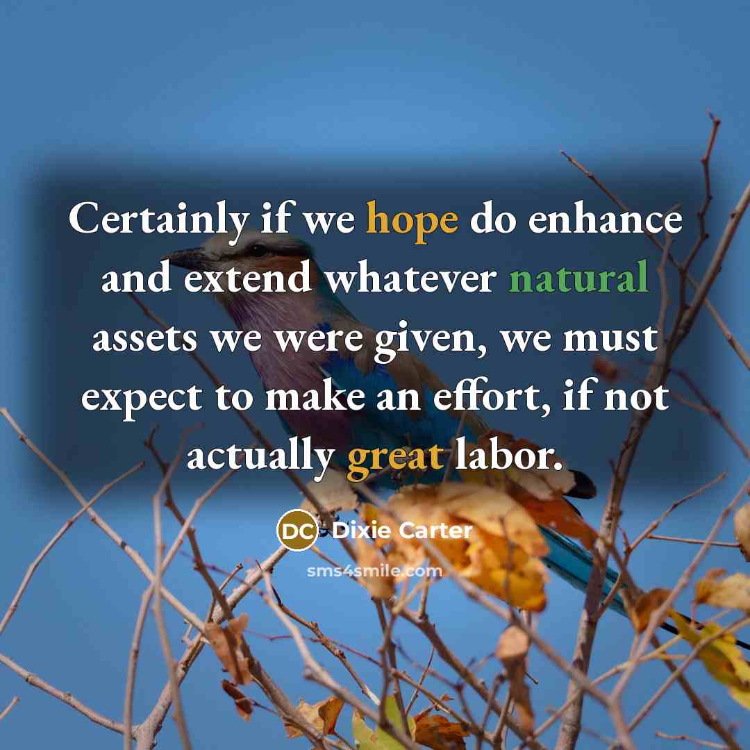 “Certainly if we hope do enhance and extend whatever natural assets we were given, we must expect to make an effort, if not actually great labor.” quote by Dixie Carter