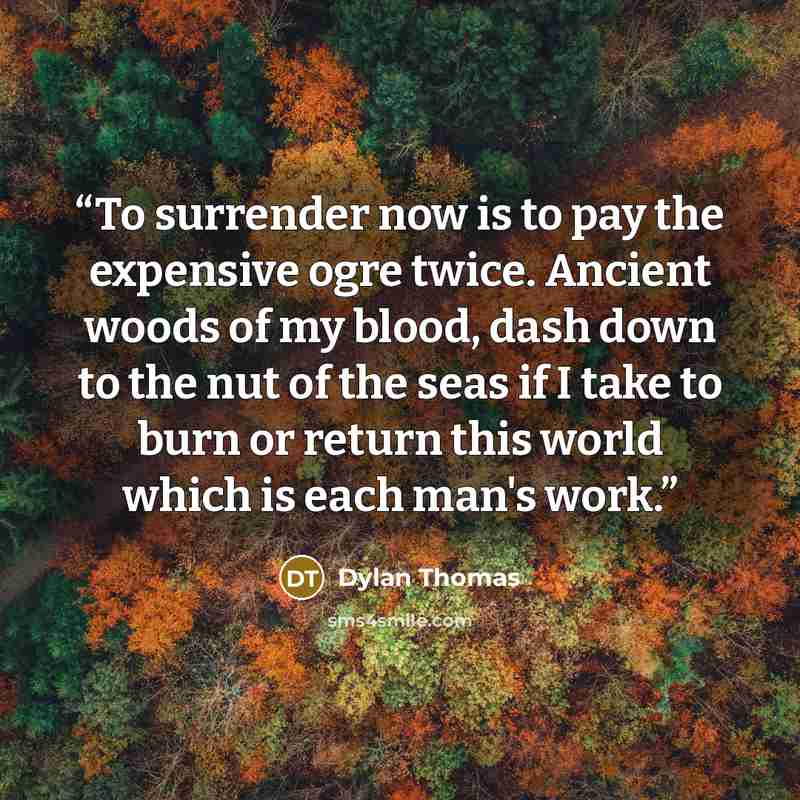 “To surrender now is to pay the expensive ogre twice. Ancient woods of my blood, dash down to the nut of the seas if I take to burn or return this world which is each man's work.” quote by Dylan Thomas