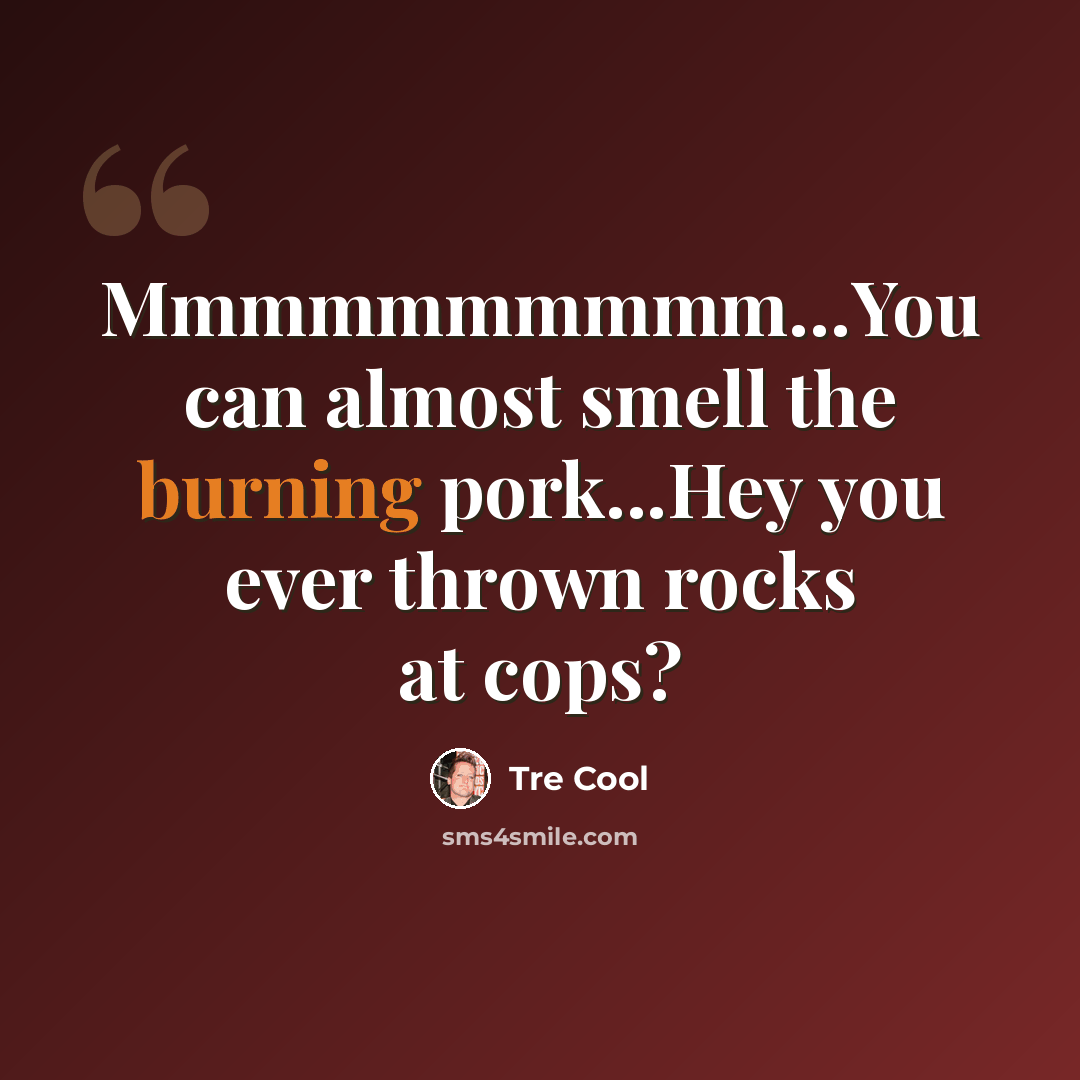 “Mmmmmmmmmm…You can almost smell the burning pork...Hey you ever thrown rocks at cops?” quote by Tre Cool