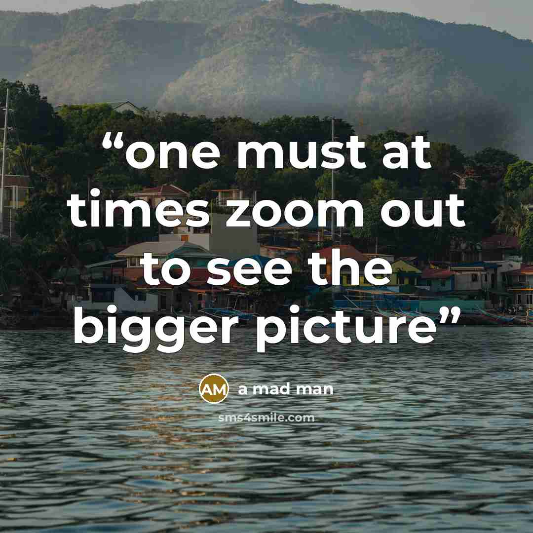 “one must at times zoom out to see the bigger picture” quote by a mad man
