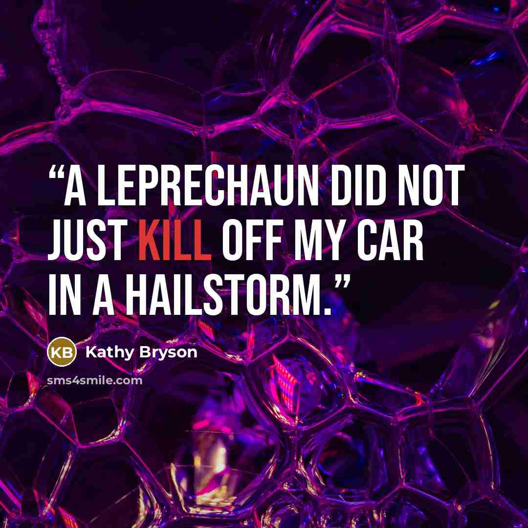 “A leprechaun did not just kill off my car in a hailstorm.” quote by Kathy Bryson