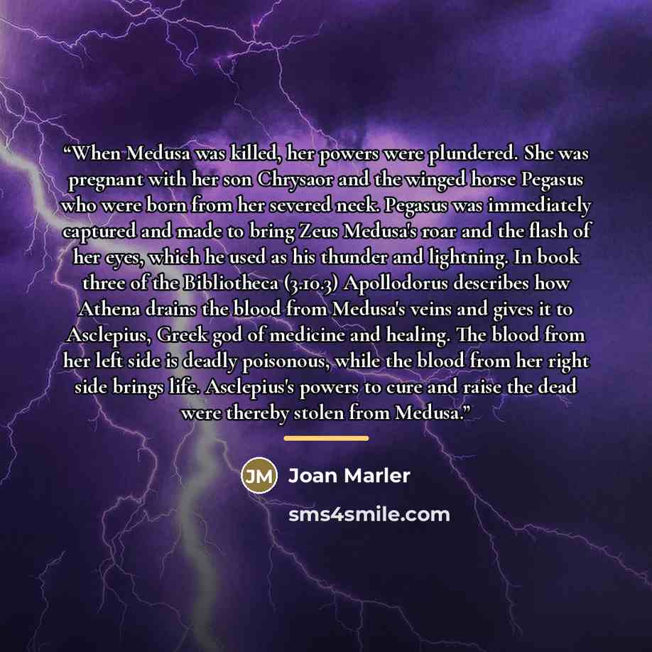 “When Medusa was killed, her powers were plundered. She was pregnant with her son Chrysaor and the winged horse Pegasus who were born from her severed neck. Pegasus was immediately captured and made to bring Zeus Medusa's roar and the flash of her eyes, which he used as his thunder and lightning…” quote by Joan Marler