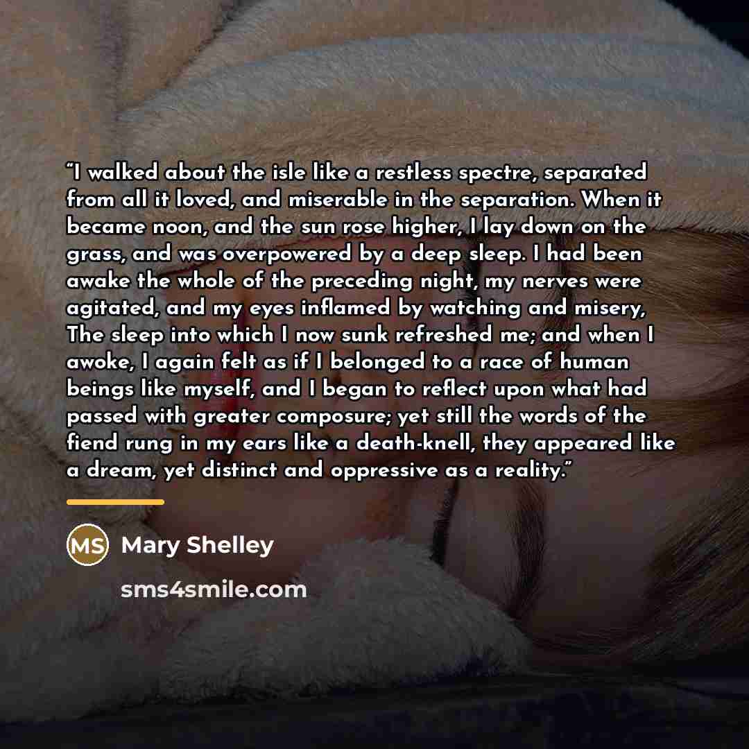 “I walked about the isle like a restless spectre, separated from all it loved, and miserable in the separation. When it became noon, and the sun rose higher, I lay down on the grass, and was overpowered by a deep sleep. I had been awake the whole of the preceding night, my nerves were agitated, and…” quote by Mary Shelley