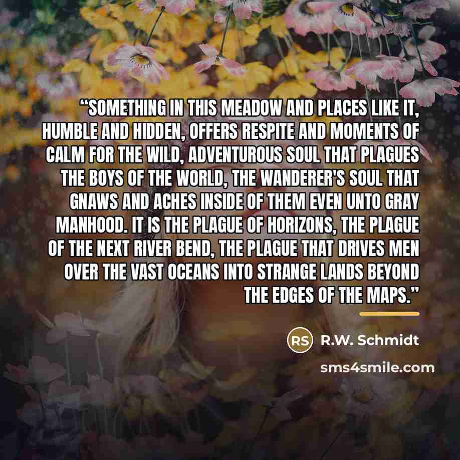 “Something in this meadow and places like it, humble and hidden, offers respite and moments of calm for the wild, adventurous soul that plagues the boys of the world, the wanderer's soul that gnaws and aches inside of them even unto gray manhood. It is the plague of horizons, the plague of the next…” quote by R.W. Schmidt