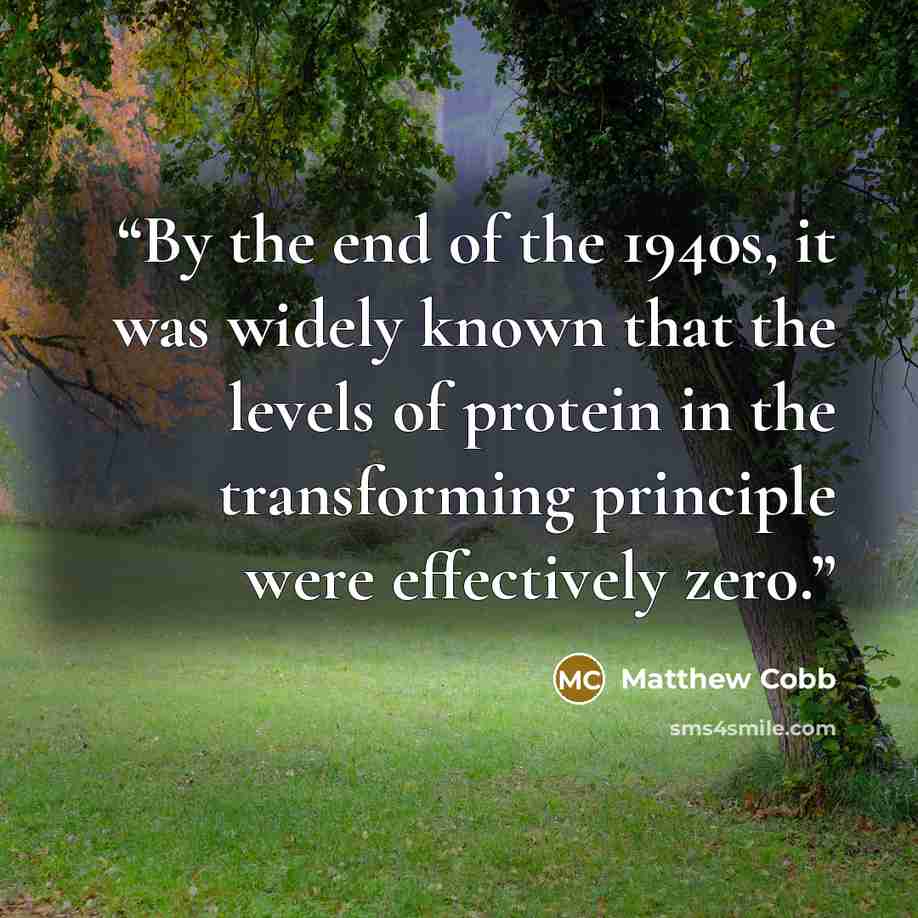 “By the end of the 1940s, it was widely known that the levels of protein in the transforming principle were effectively zero.” quote by Matthew Cobb