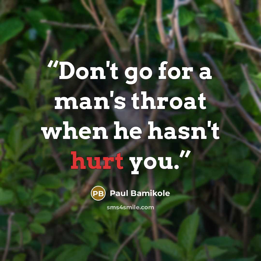 “Don't go for a man's throat when he hasn't hurt you.” quote by Paul Bamikole