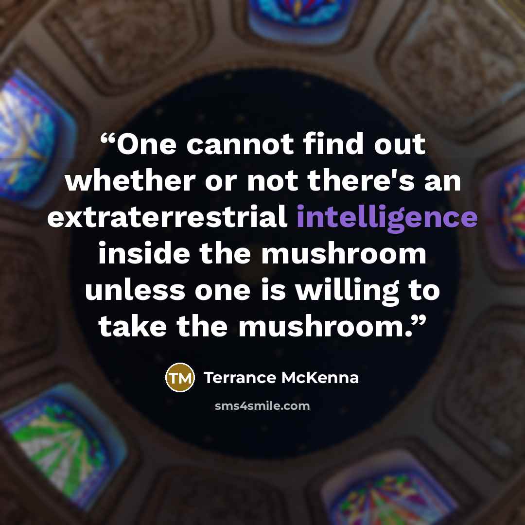 “One cannot find out whether or not there's an extraterrestrial intelligence inside the mushroom unless one is willing to take the mushroom.” quote by Terrance McKenna