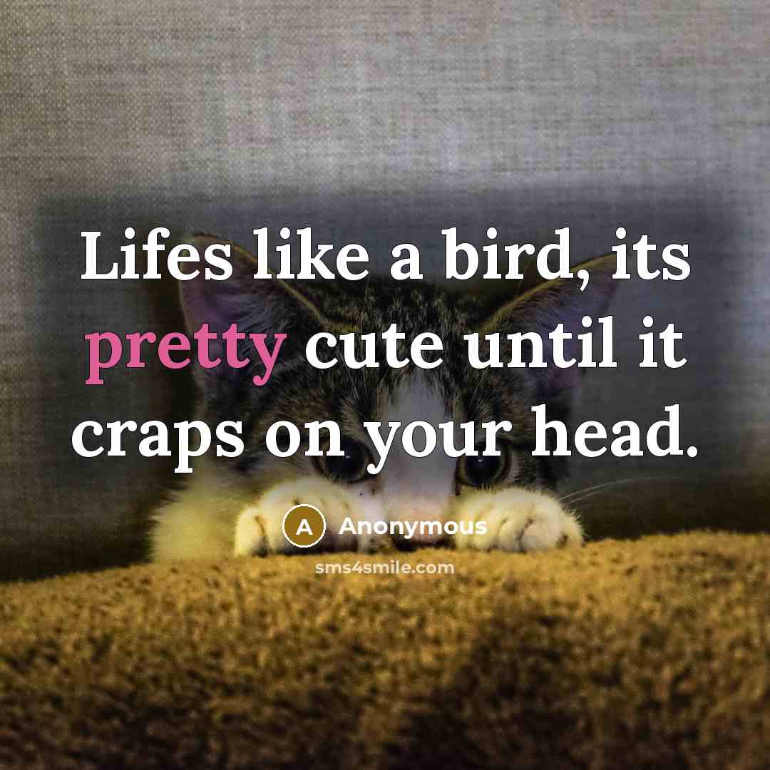 “Lifes like a bird, its pretty cute until it craps on your head.” quote by Anonymous