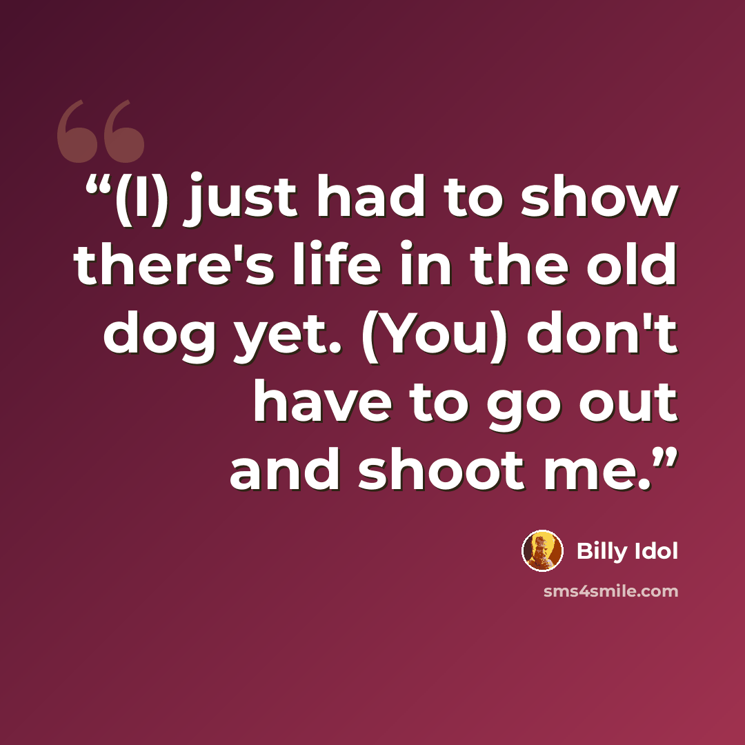“(I) just had to show there's life in the old dog yet. (You) don't have to go out and shoot me.” quote by Billy Idol