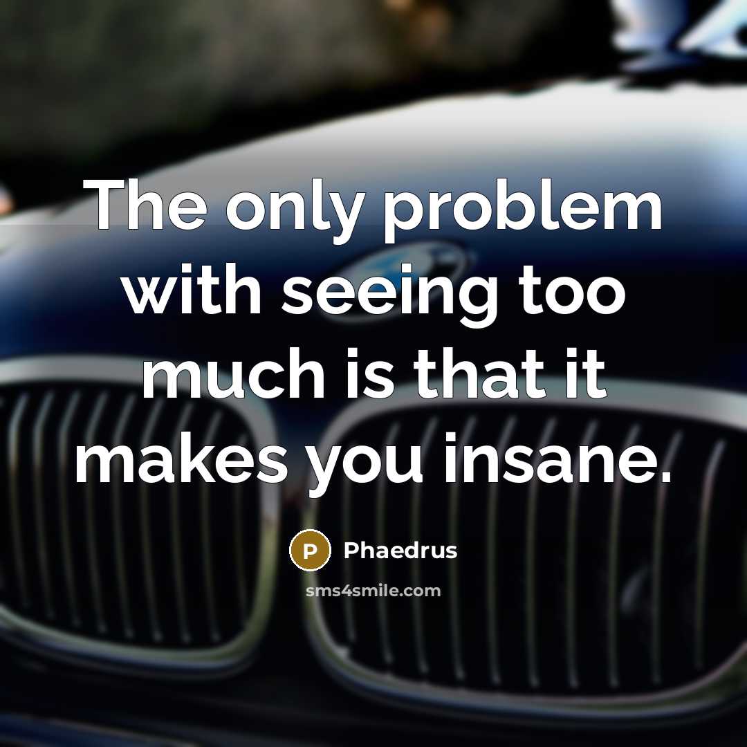 “The only problem with seeing too much is that it makes you insane.” quote by Phaedrus