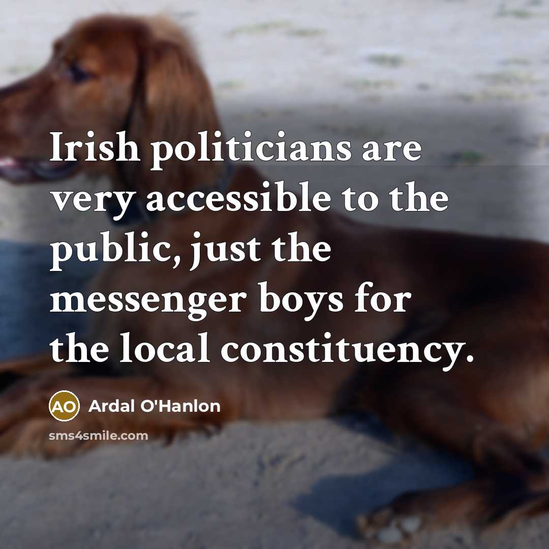 “Irish politicians are very accessible to the public, just the messenger boys for the local constituency.” quote by Ardal O'Hanlon