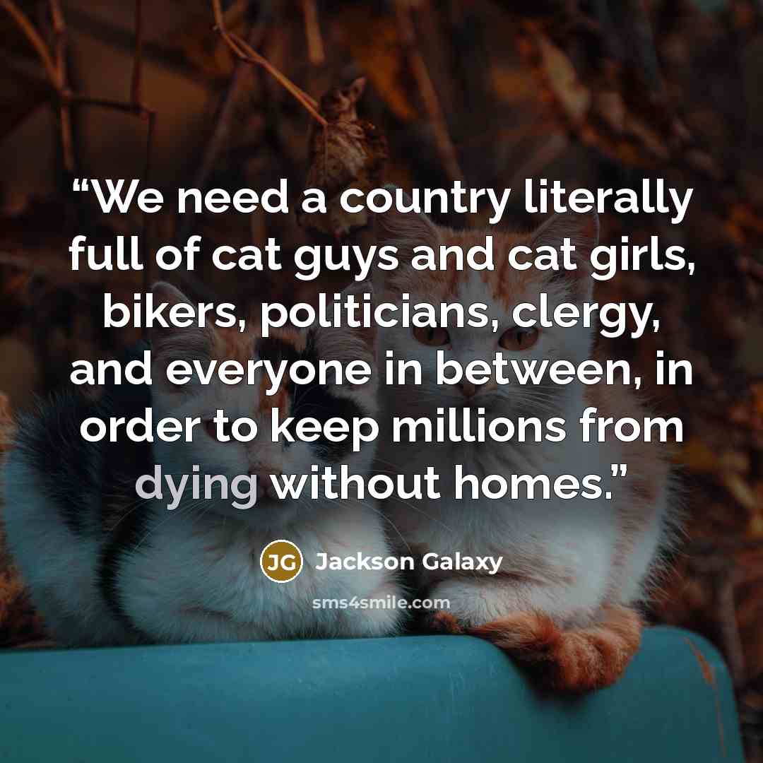 “We need a country literally full of cat guys and cat girls, bikers, politicians, clergy, and everyone in between, in order to keep millions from dying without homes.” quote by Jackson Galaxy