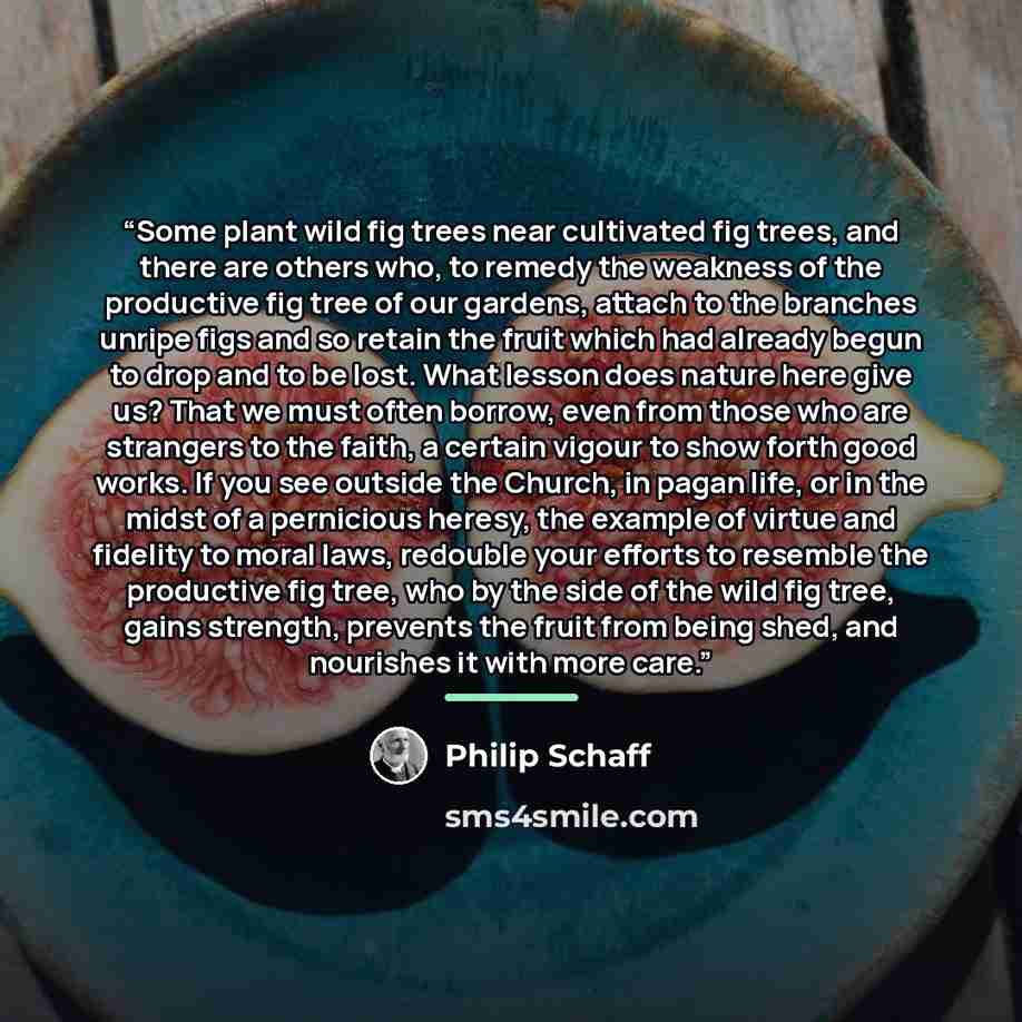 “Some plant wild fig trees near cultivated fig trees, and there are others who, to remedy the weakness of the productive fig tree of our gardens, attach to the branches unripe figs and so retain the fruit which had already begun to drop and to be lost. What lesson does nature here give us? That we…” quote by Philip Schaff