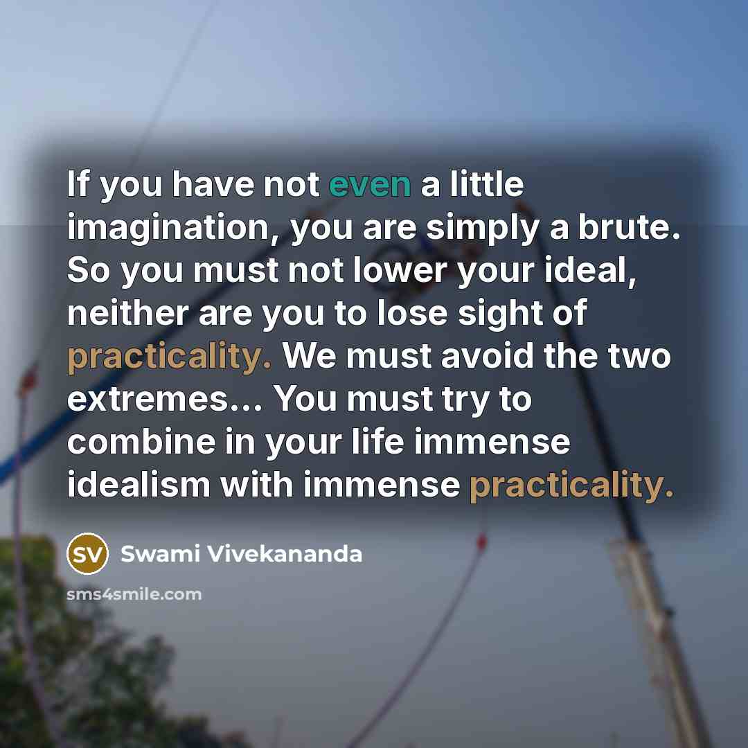 “If you have not even a little imagination, you are simply a brute. So you must not lower your ideal, neither are you to lose sight of practicality. We must avoid the two extremes… You must try to combine in your life immense idealism with immense practicality.” quote by Swami Vivekananda
