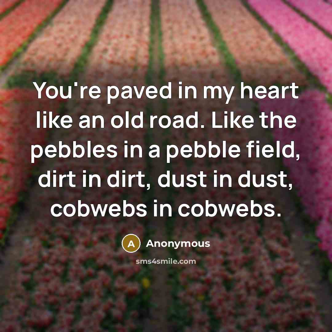 “You're paved in my heart like an old road. Like the pebbles in a pebble field, dirt in dirt, dust in dust, cobwebs in cobwebs.” quote by Anonymous