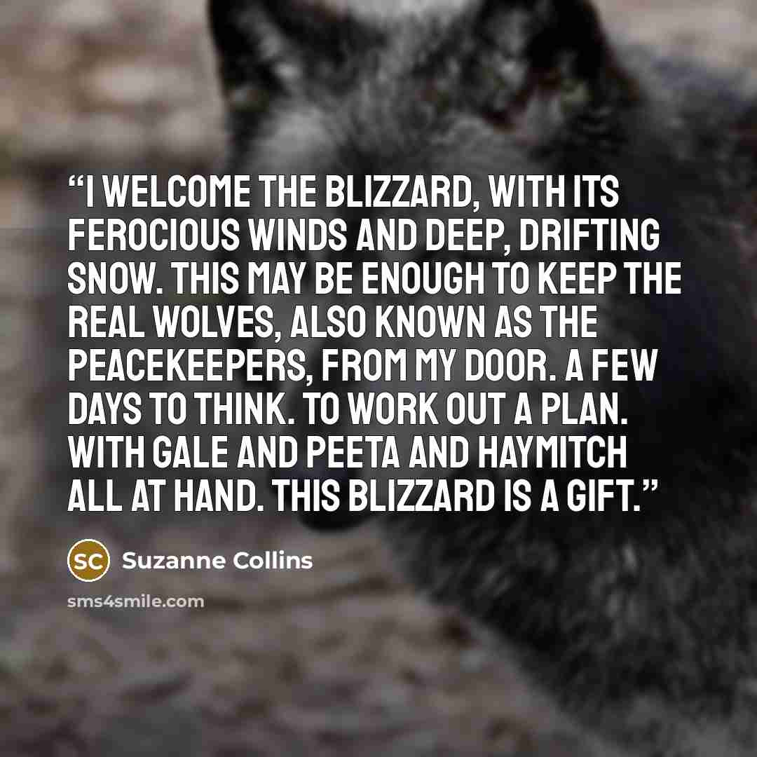 “I welcome the blizzard, with its ferocious winds and deep, drifting snow. This may be enough to keep the real wolves, also known as the Peacekeepers, from my door. A few days to think. To work out a plan. With Gale and Peeta and Haymitch all at hand. This blizzard is a gift.” quote by Suzanne Collins