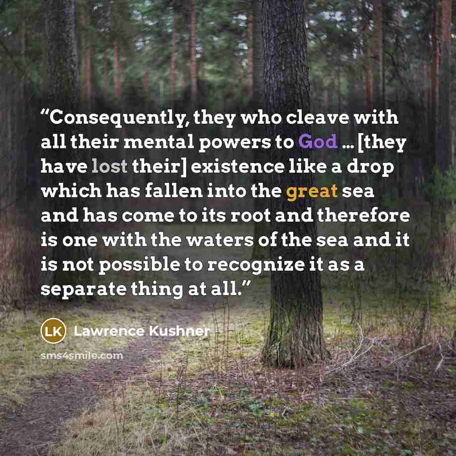 “Consequently, they who cleave with all their mental powers to God … [they have lost their] existence like a drop which has fallen into the great sea and has come to its root and therefore is one with the waters of the sea and it is not possible to recognize it as a separate thing at all.” quote by Lawrence Kushner