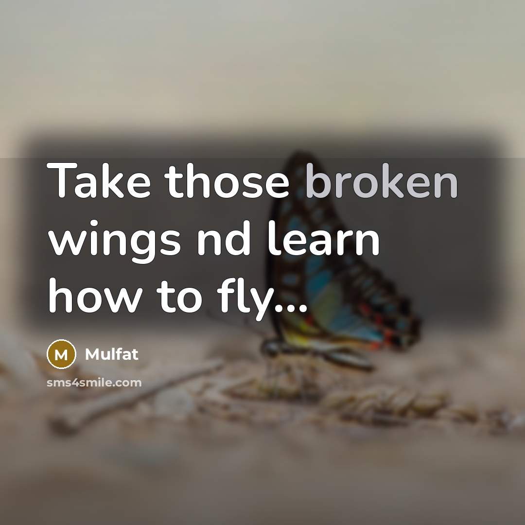 “Take those broken wings nd learn how to fly…” quote by Mulfat