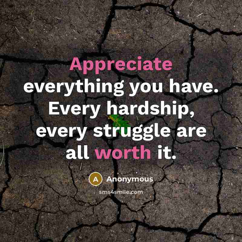 “Appreciate everything you have. Every hardship, every struggle are all worth it.” quote by Anonymous