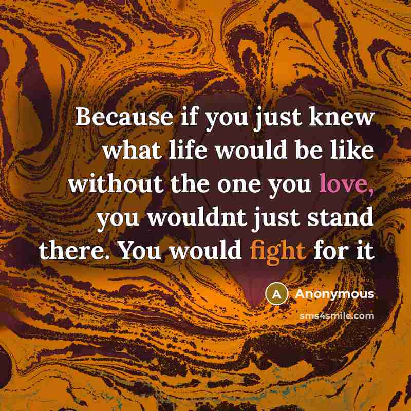 “Because if you just knew what life would be like without the one you love, you wouldnt just stand there. You would fight for it” quote by Anonymous