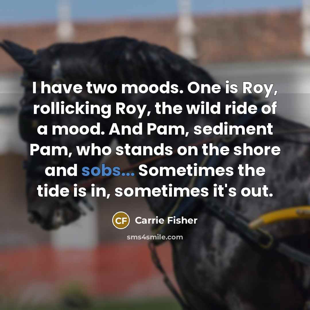 “I have two moods. One is Roy, rollicking Roy, the wild ride of a mood. And Pam, sediment Pam, who stands on the shore and sobs... Sometimes the tide is in, sometimes it's out.” quote by Carrie Fisher