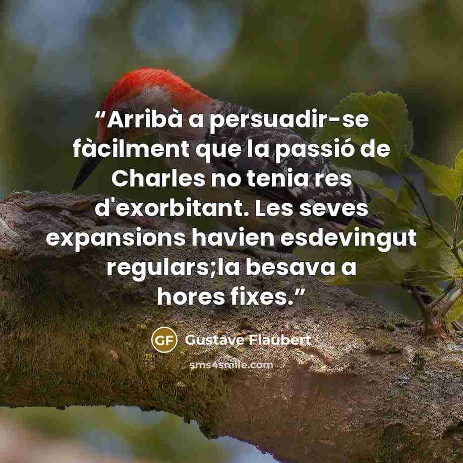 “Arribà a persuadir-se fàcilment que la passió de Charles no tenia res d'exorbitant. Les seves expansions havien esdevingut regulars;la besava a hores fixes.” quote by Gustave Flaubert